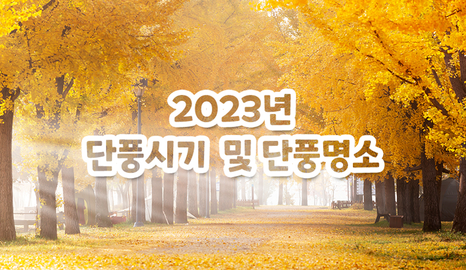 2023 단풍시기 및 단풍명소ㅣ홈런 